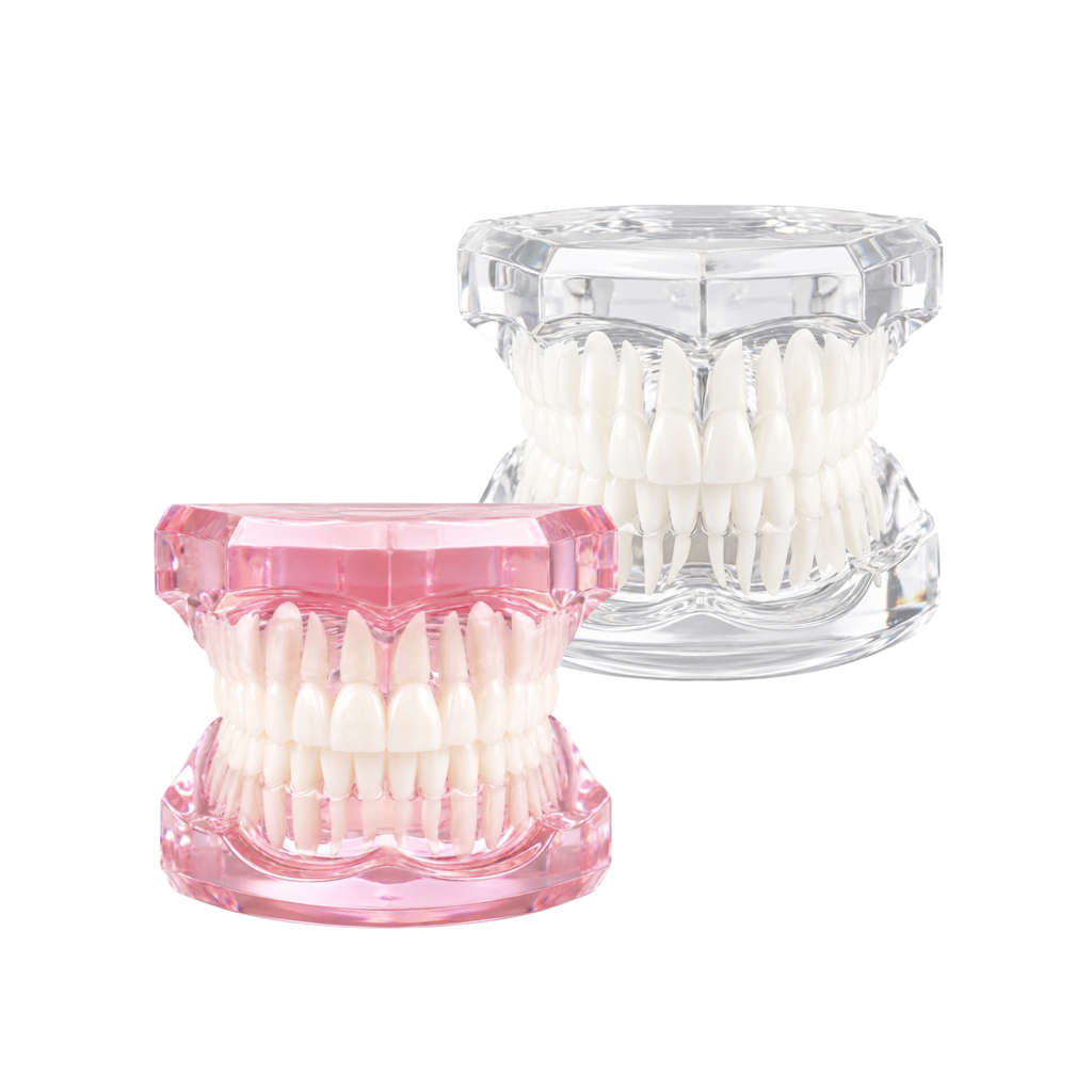 Transparent Tooth Model for Tooth Gem Training