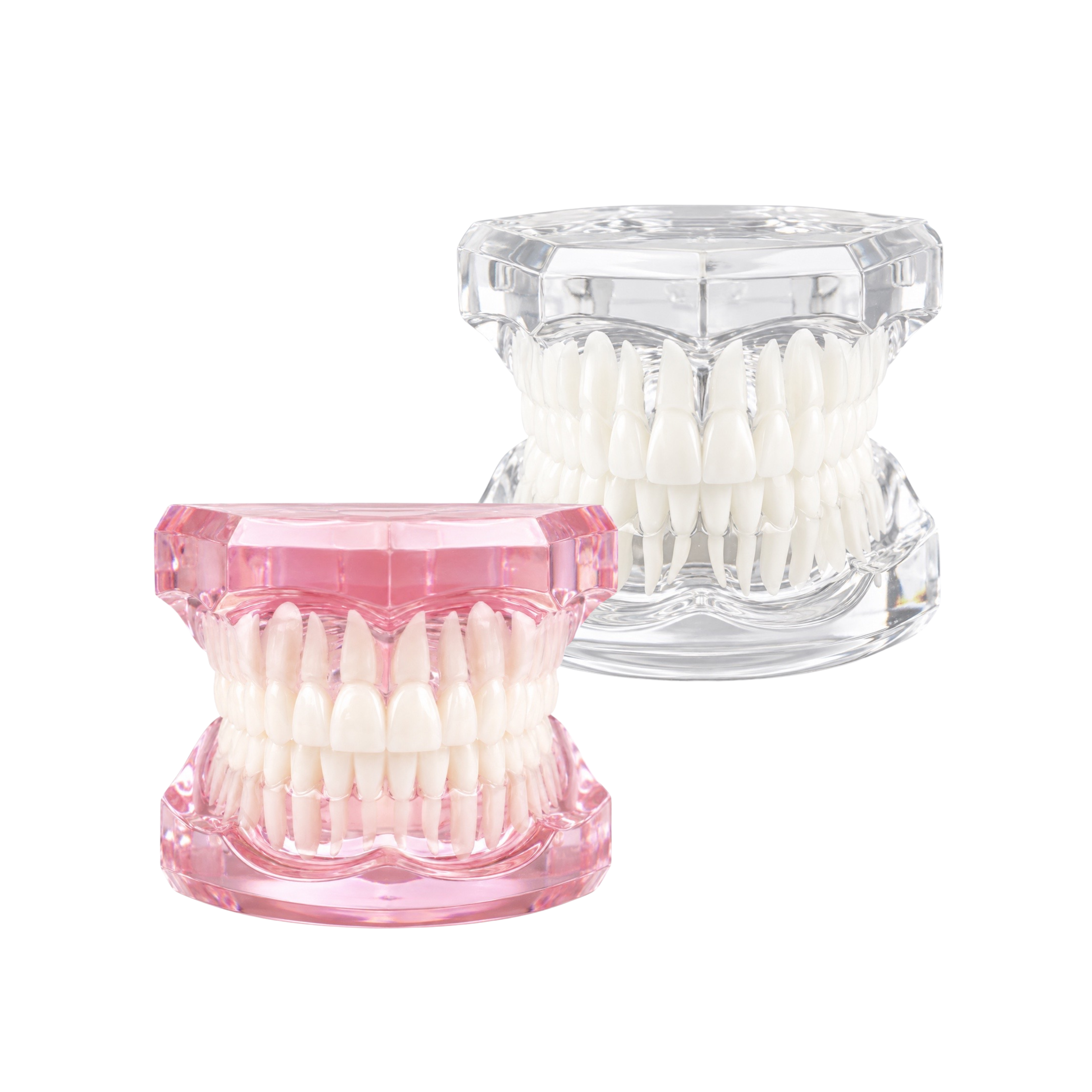 Transparent Tooth Model for Tooth Gem Training