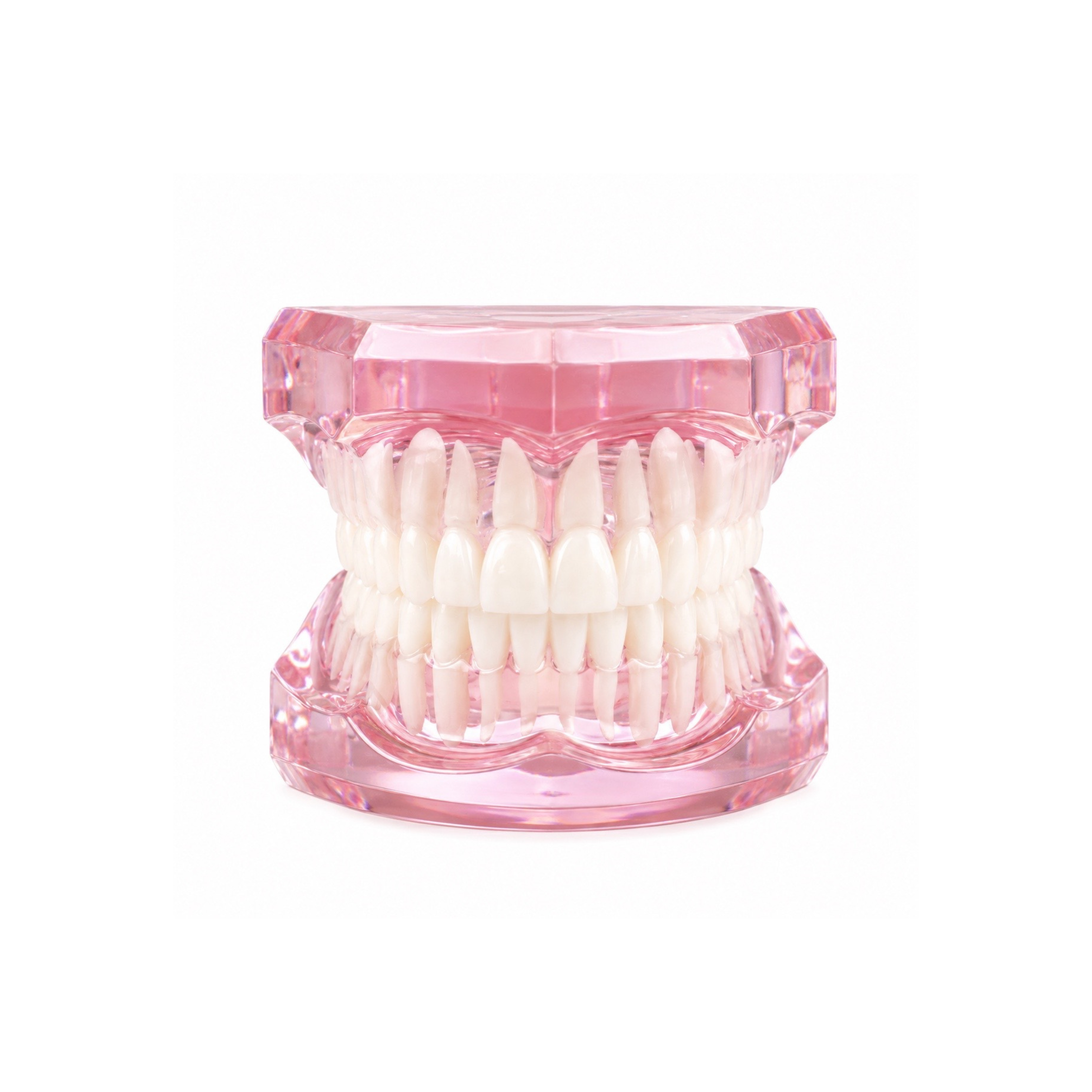 Transparent Tooth Model for Tooth Gem Training