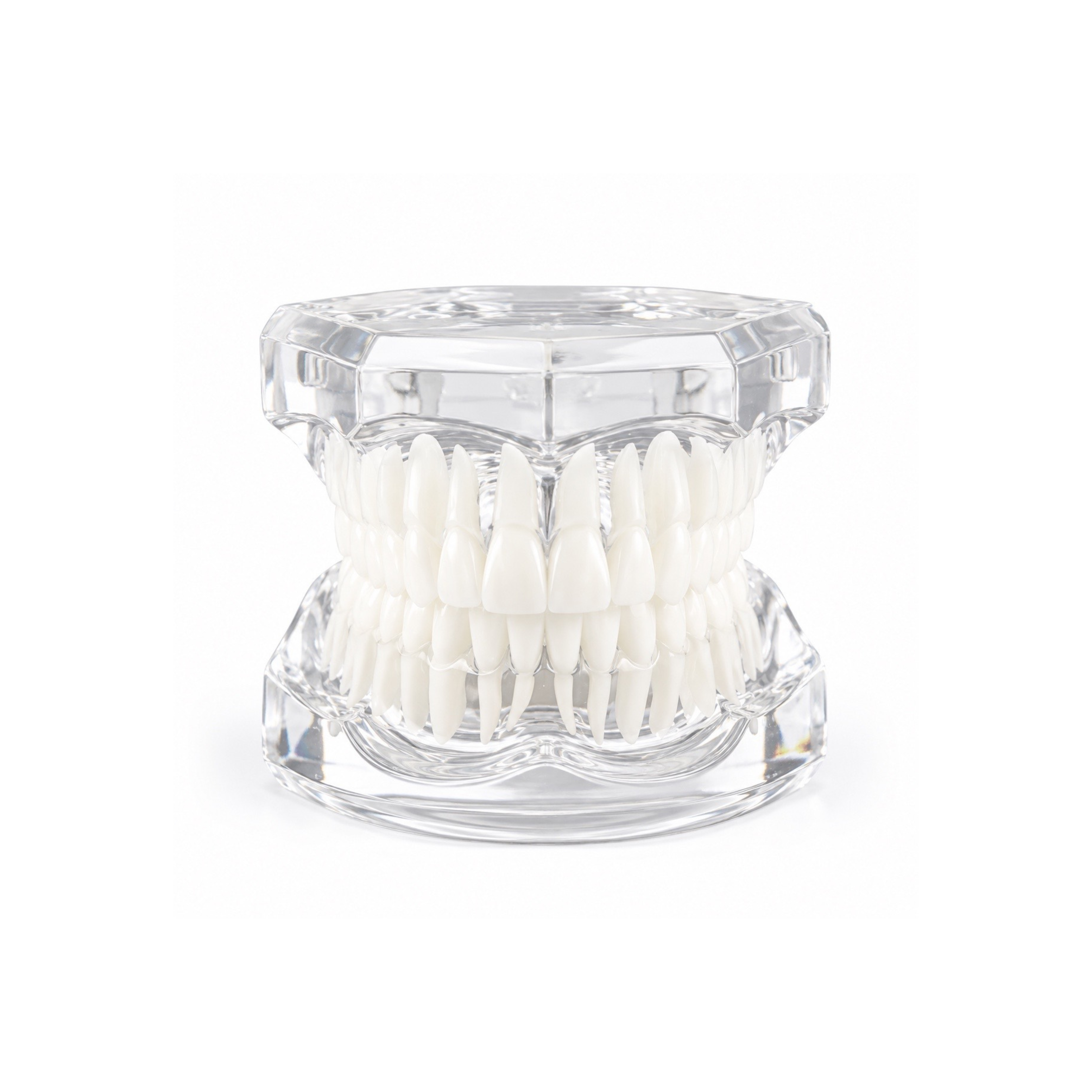 Transparent Tooth Model for Tooth Gem Training